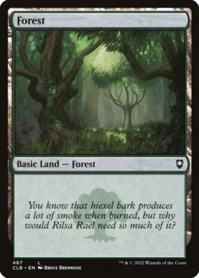 10x FOREST basic lands NM - Battle for Baldur's Gate - Various art versions mtg