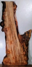 H22 Spalted Ambrosia Maple Burl Live Edge Slab 56x27x12x1 1/2
