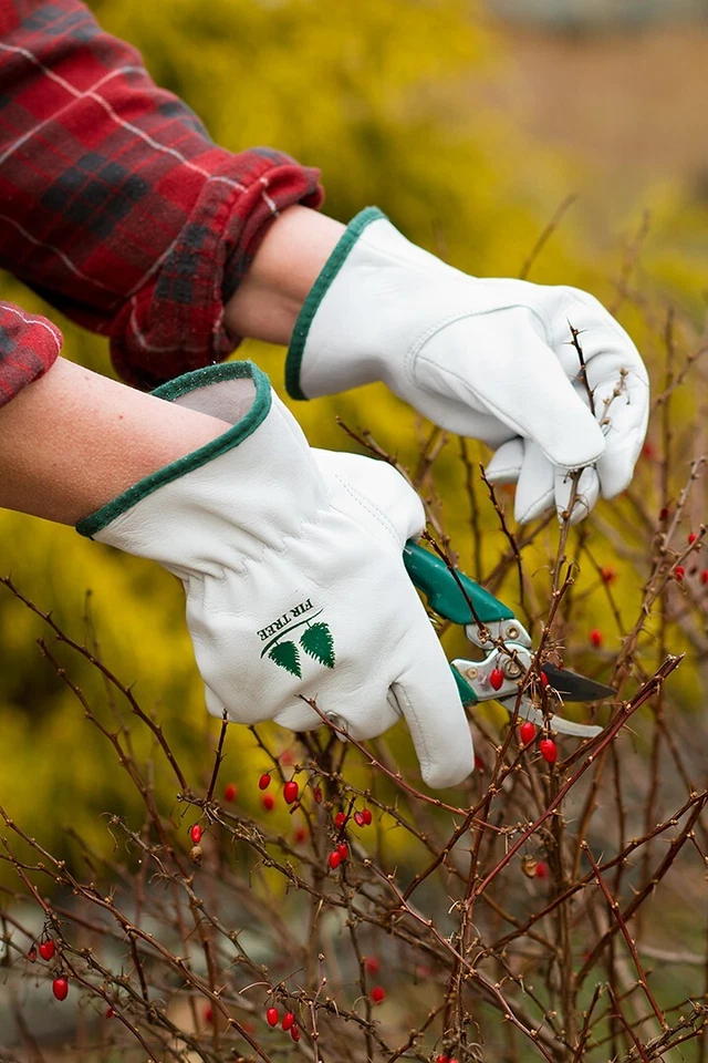 Garden Gloves Goatskin Leather By Fir Tree Brand - Image 2 of 4