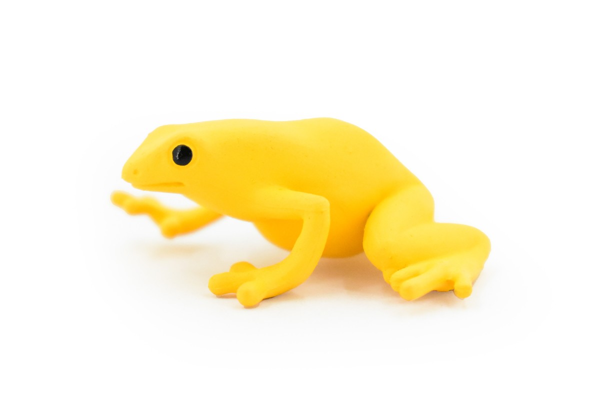 Golden Poison Dart Plastic Toy Realistic Rainforest Model Replica