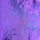 Bild 77 von 98