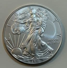 2011 Walking Liberty American Eagle Silver Dollar Coin 1oz