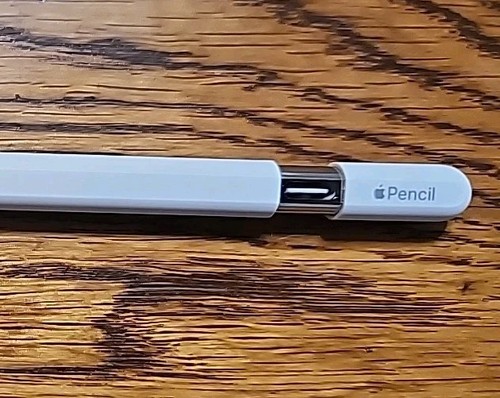 Apple Pencil USB-C - A3085 MUWA3AM/A - White Bluetooth Smart Stylus -EXCELLENT - 第 6/7 張圖片