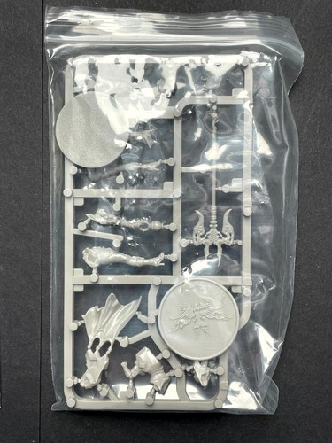 Kingdom Death: Monster - Indomitable Survivor - Stampede Glaive Xell - White Box - Picture 5 of 5