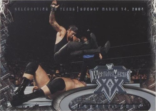 WWE Wrestlemania 23 VIP Chair Donald Trump, the Undertaker, Stone