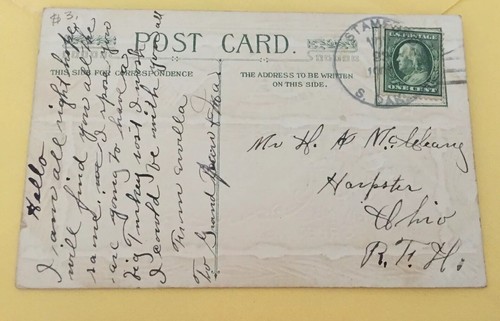 1910s Thanksgiving Postcard Winsch Back Turkeys in Field Embossed - Picture 4 of 7