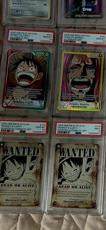27 PSA Graded One Piece Card Lot PSA 10 Wanted Luffy Ace Hancock Nami SP