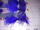 Bild 4 von 5