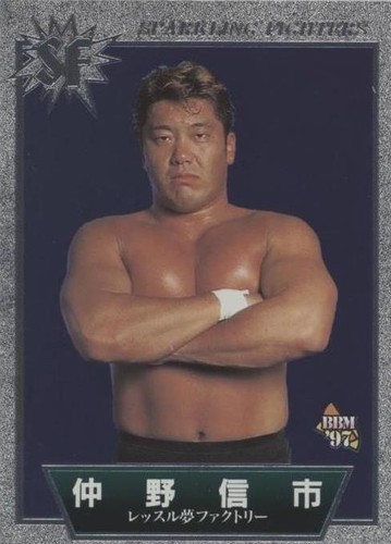 Shinichi Shino BBM Pro Wrestling Card TCG Vintage Japanese #188 | eBay