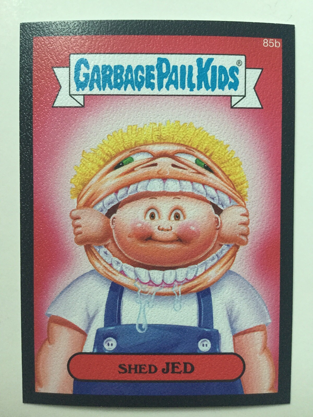 2014 Topps Garbage Pail Kids Canvas #85b Shed Jed front