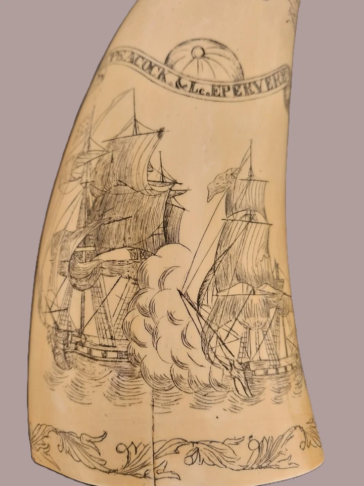 Réplica marítima de diente de ballena de imitación marfil "Libertad" Foto 4 de 4