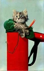 You Catched Me!! Kitten with Yarn Postcard