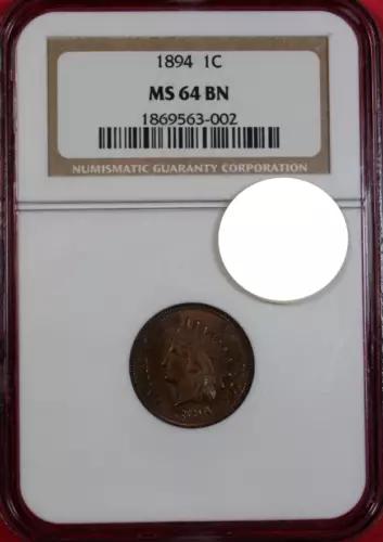 1894 INDIAN CENT NGC MS64BN