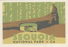 Sequoia National Park California Art Poster Postcard