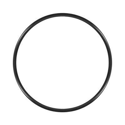 160mm x 170mm x 5mm O-Ring Dichtung aus Nitrilkautschuk - Poolpumpe Zubehör