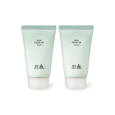HANYUL Pure Artemisia Watery Calming Cream 55ml 1+1 Set
