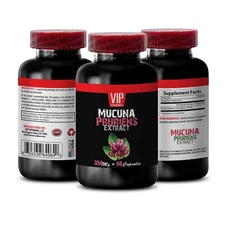 brain elevate MUCUNA PRURIENS 15% EXTRACT relieves stress and increase focus 1BO