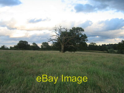Foto 6x4 zwischen Outhill und Oldberrow Hill zwei isolierte Bäume in der Mitte 2005