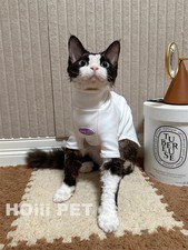 Cats backing Shirt in Winter Cototo Coat for Sphynx Cat Warm Sweatshirt for Kit