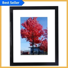 Elegant Black 8x12 Picture Frame with Mat for 6x8 Photos - Versatile Display