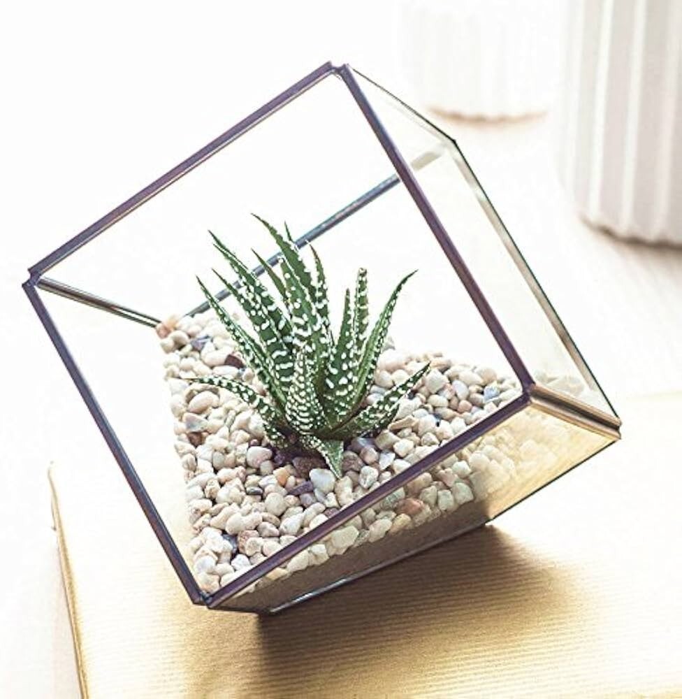 Geometric Glass Terrarium Tabletop Decor 10 Inches for Plants or Succulents  