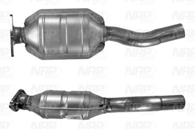 NAP carPARTS Katalysator  für FIAT