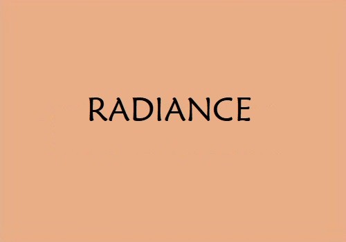 Factor Naturals Radiance #208 Pan stick foundation w/Argan oil Made in the USA - Picture 4 of 4