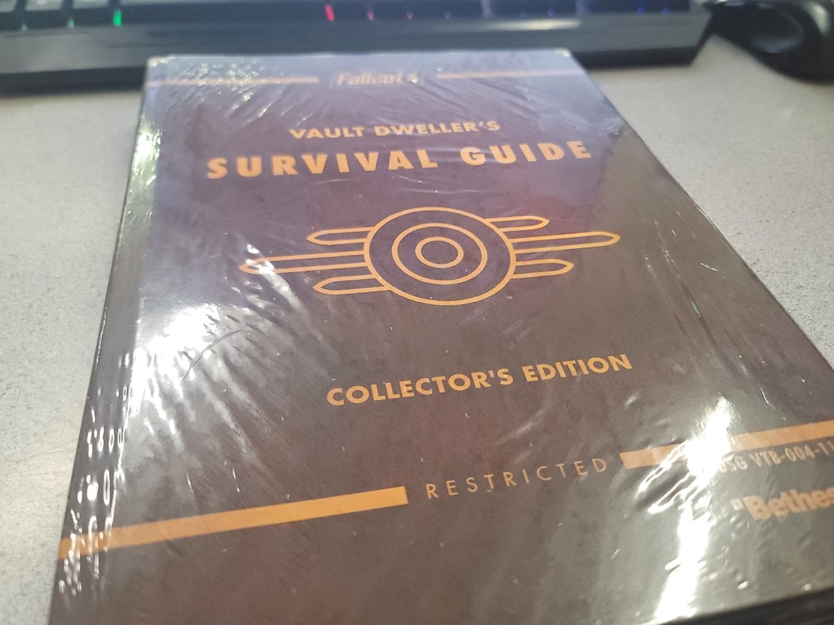 Fallout 4 Vault Dweller