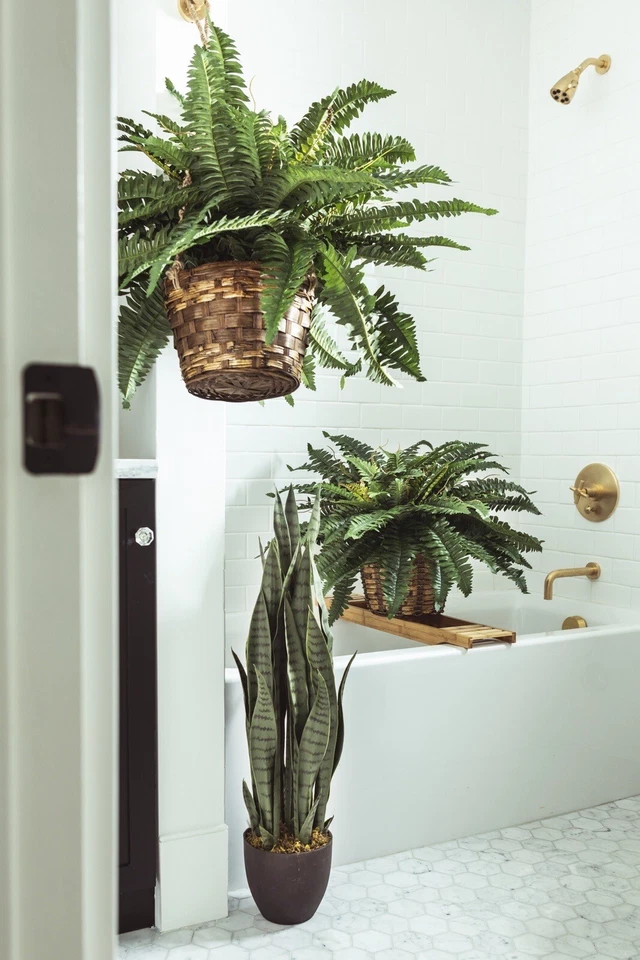 "Planta de helecho de Boston grande artificial de 32"" en cesta colgante decoración del hogar". Venta al por menor $99 Foto 4 de 4