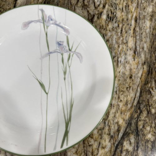 Juego de 5 platos de postre para ensalada Corelle Vitrelle patrón de iris sombra 7 1/4” 🇺🇸 - Imagen 18 de 24