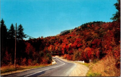 Jack Frost's AUTUMN VISIT on Country Road DEXTER BEAUTY SCENE Postcard