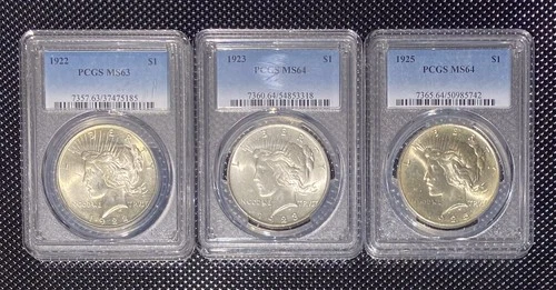 1925 Peace Dollar PCGS MS64 💥 3 Coins, 1922 MS63 & 1923 MS64