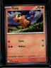 2025 Pokemon White Flare Tepig Common #011/086