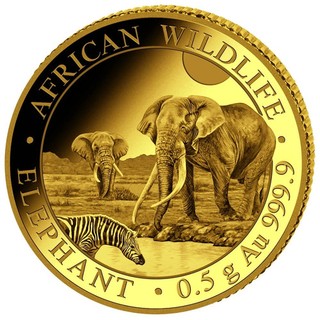 Somalia 20 Sh. 2026 Elefante Africano Vida Silvestre 0 5 gramos Oro 999 9 Prueba