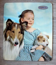 große Reklametafel Voigtländer, Fotographie um 1950/60 Hund Collie
