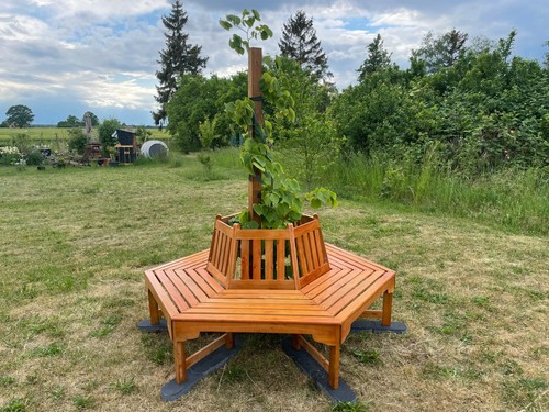 Eukalyptus 6Eck Baumbank Ontario aus Ø 63 cm Holz Sitzbank Gartenbank
