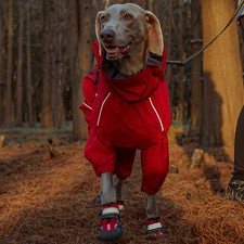 Dog Shoes or Waterproof Dog Raincoat Jacket Paw Protector Boots Reflective