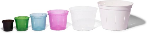 8 Assorted Clear Aeration Orchid Pots - 3 to 6 Inch Sizes for Thriving Orchids - Picture 6 of 11