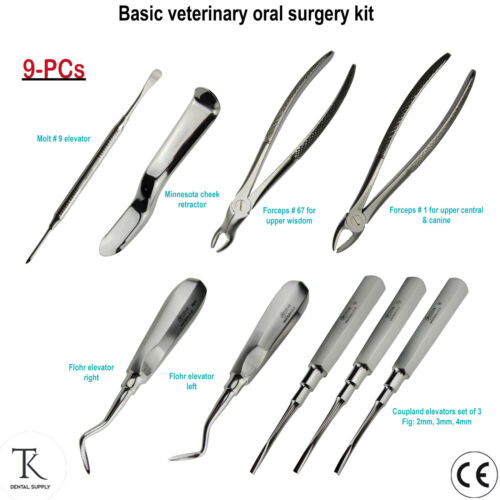 Set de 9 - Instrumentos quirúrgicos instrumentos para el laboratorio de cirugía bucal - Imagen 1 de 10