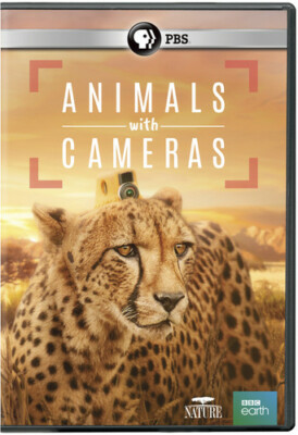 DVD PBS Nature: Animals With Cameras NEW