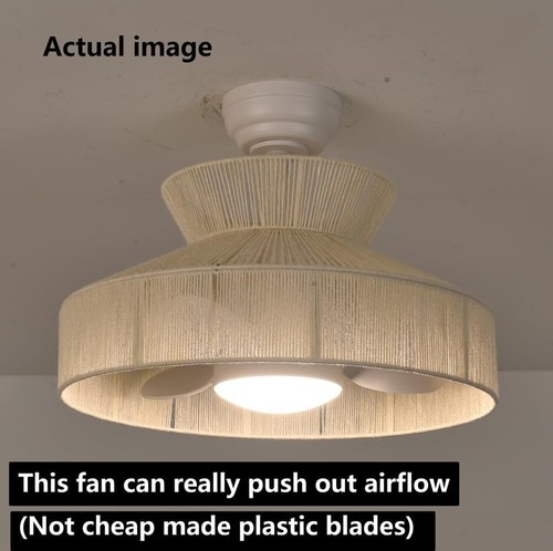 18W LED 20” Dimmable DC Boho Caged Dimmable Ceiling Fan with Light - Picture 3 of 8