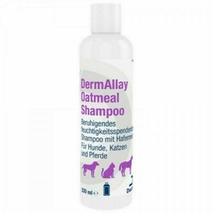 dermallay shampoo