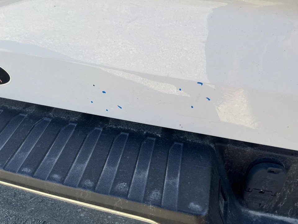 Trunk/Hatch/Tailgate With Tailgate Step Fits 15-17 FORD F150 PICKUP 866948 Foto 2 de 4