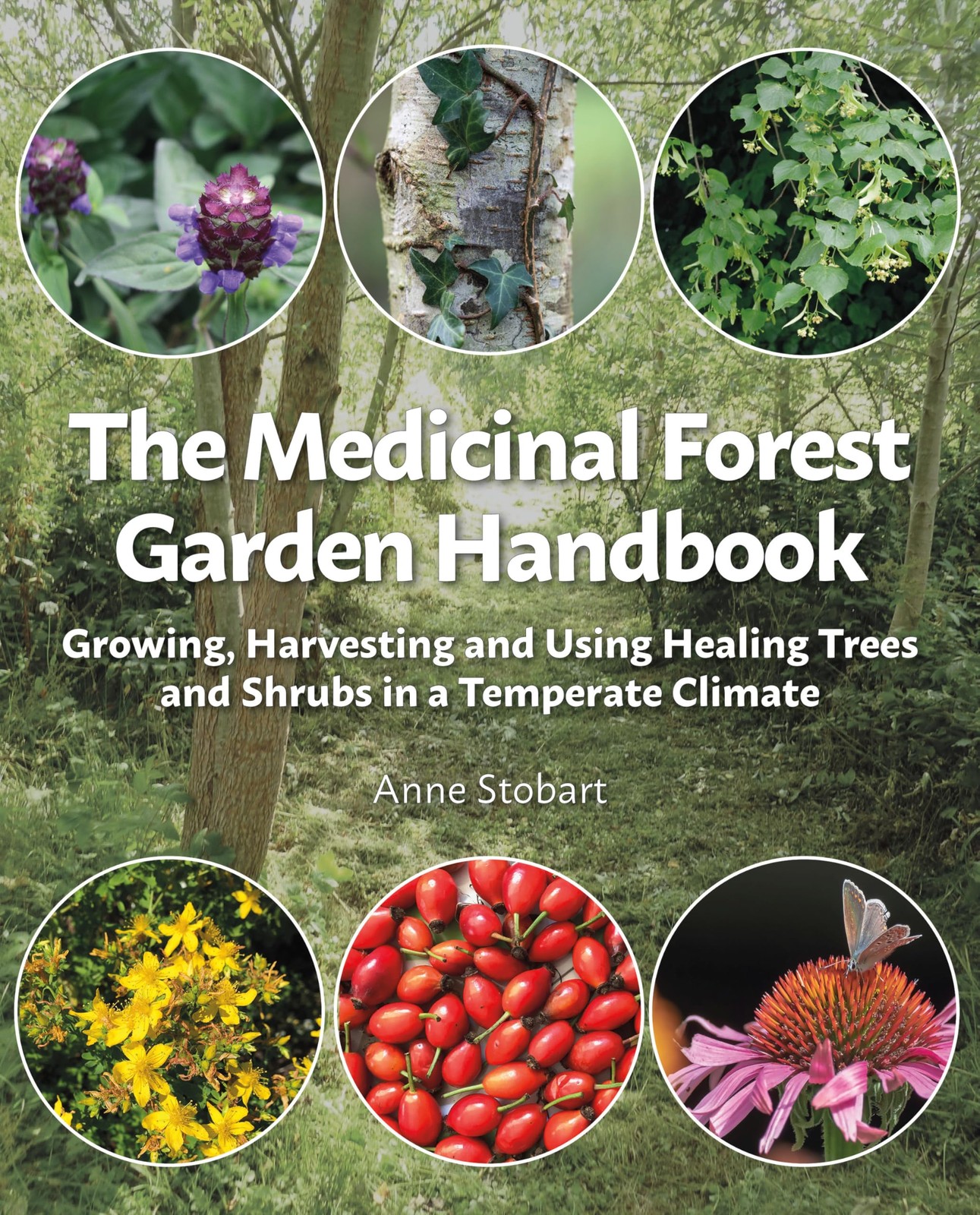 The Medicinal Forest Garden Handbook: Growing, harvesting and us - Image 4