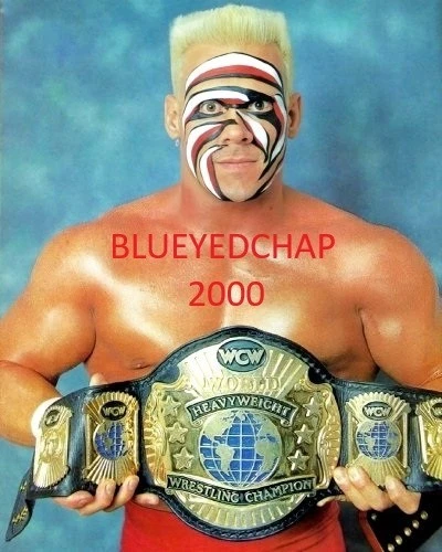 貴重！1点モノ　WWE WCW TNA　新日　スティング　コスチュームカスタム Sting Wrestling Photos for sale | eBay