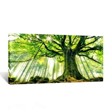 KREATIVE ARTS Canvas Large Art Print Spring Forest Nature Green Big Tree Wall
