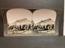 Stereoview, Keystone 34448, Royal Canadian Mounted Police, P114