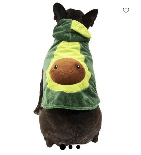 pup crew dog costume