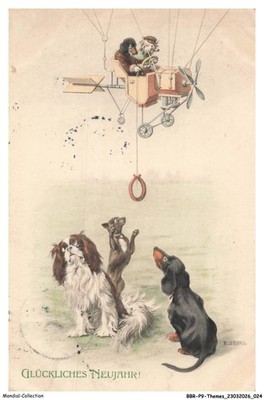 BBRP9-0382-ANIMAUX - Hunde - Teckel - Glückliches Neujahr - Flugzeug
