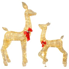 LEADZM 2-Piece Lighted Christmas Deer Family